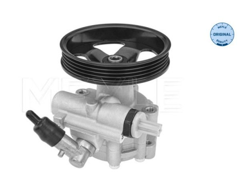servo pump