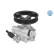 servo pump