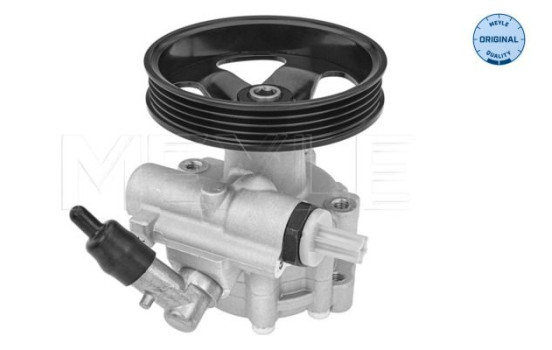 servo pump