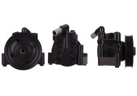 Servo pump