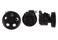servo pump