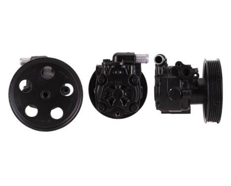 servo pump