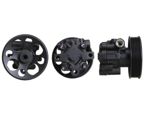 Servo pump