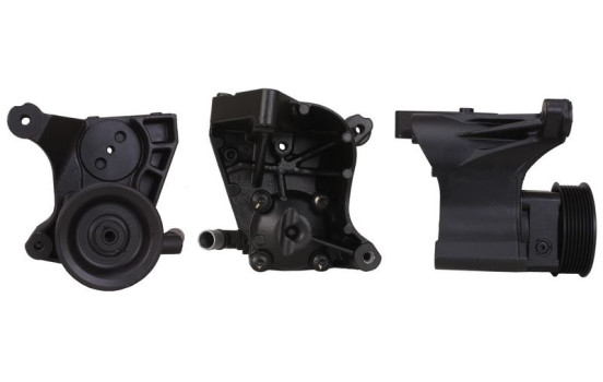 servo pump