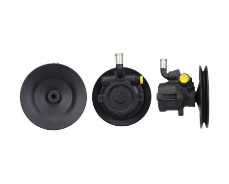Servo pump