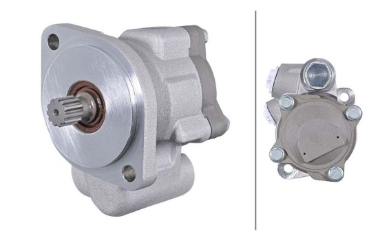 Servo pump