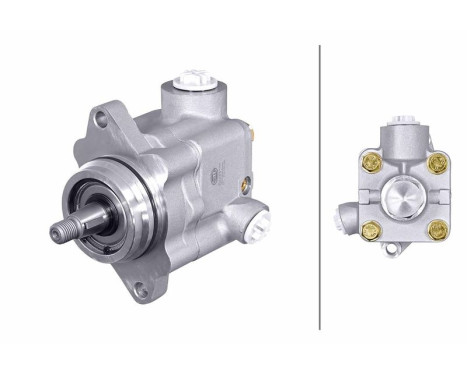 Servo pump