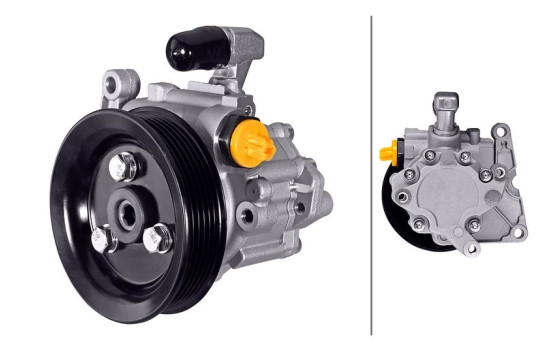 Servo pump