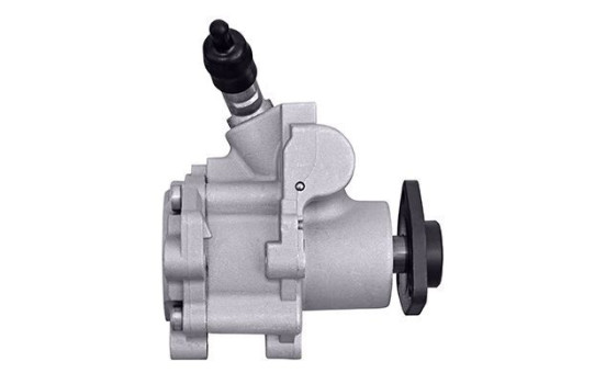 Servo pump, Image 2