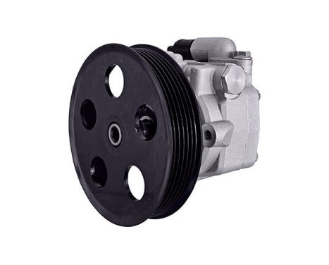 Servo pump