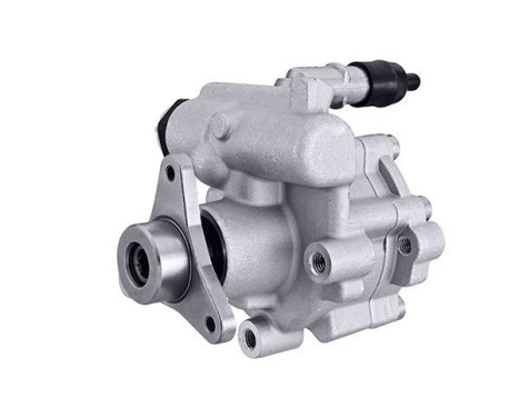 Servo pump