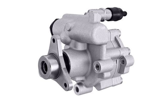 Servo pump