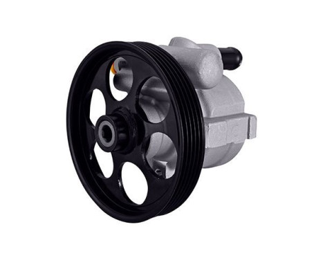 Servo pump