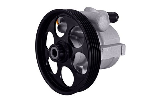Servo pump