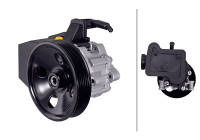 Servo pump