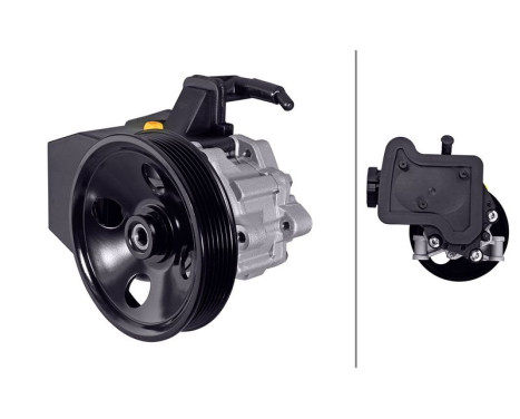 Servo pump