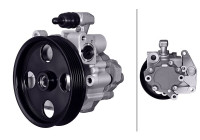Servo pump