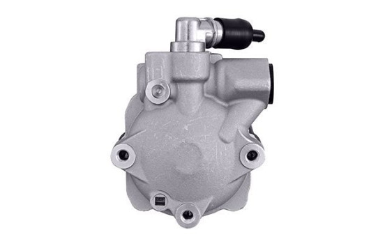 Servo pump, Image 3