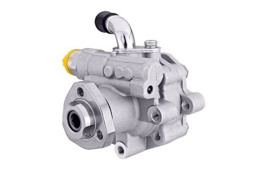 Servo pump