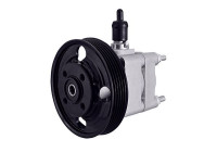 Servo pump