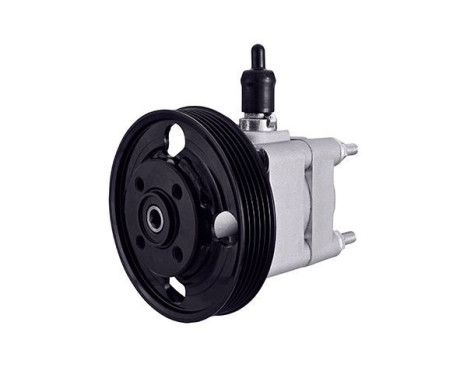 Servo pump