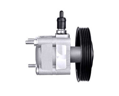 Servo pump, Image 2