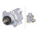 Servo pump