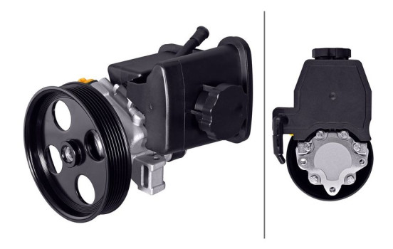 Servo pump