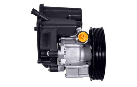 Servo pump, Image 2