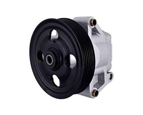 Servo pump