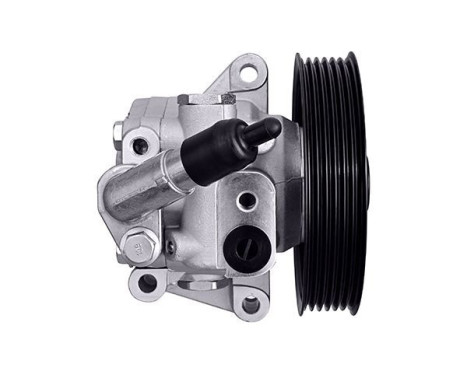Servo pump, Image 2