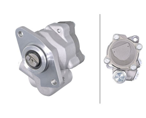Servo pump