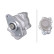 Servo pump
