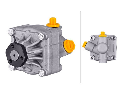 Servo pump