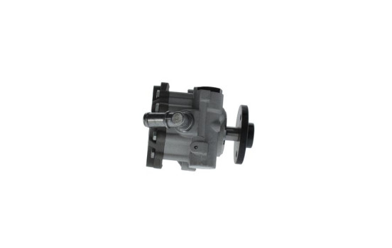 Servo pump, Image 4