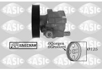 Servo pump