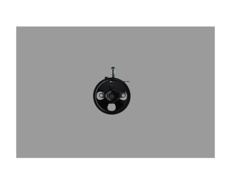 Servo pump