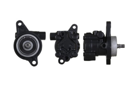servo pump