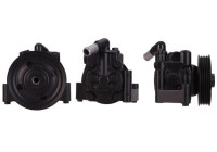 servo pump