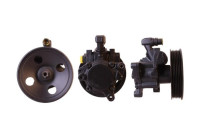 Servo pump
