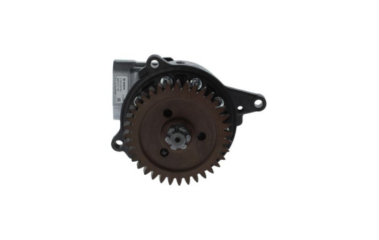 servo pump
