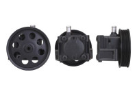 Servo pump