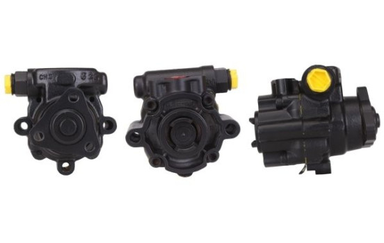 Servo pump