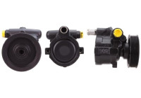 servo pump