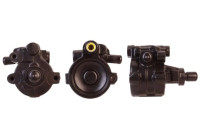 servo pump