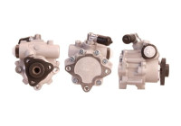 servo pump