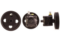 servo pump