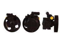 servo pump