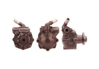servo pump