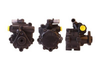 servo pump